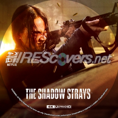 Shadow Strays, The (2024) by BajeeZa