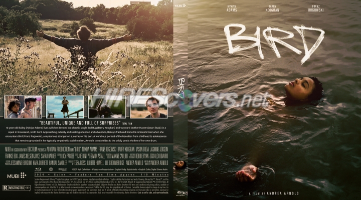 Bird (2024) by Ace