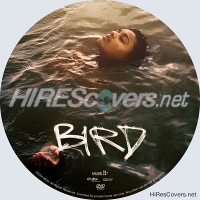 Bird (2024) by Ace