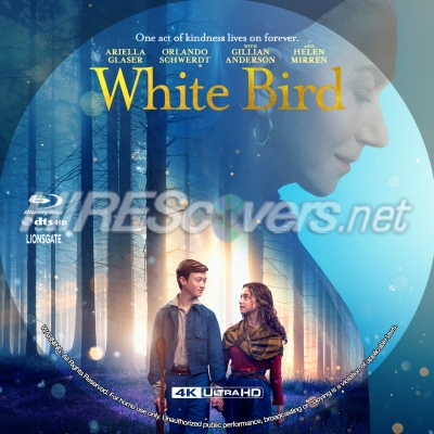White Bird (2023) by BajeeZa