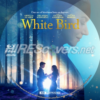 White Bird (2023) by BajeeZa