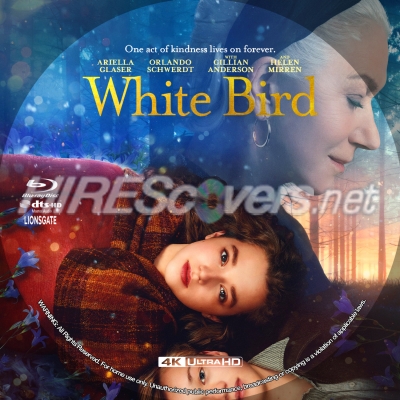 White Bird (2023) by BajeeZa