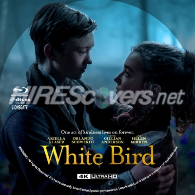 White Bird (2023) by BajeeZa