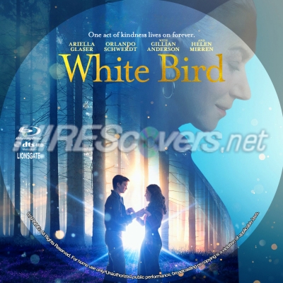 White Bird (2023) by BajeeZa