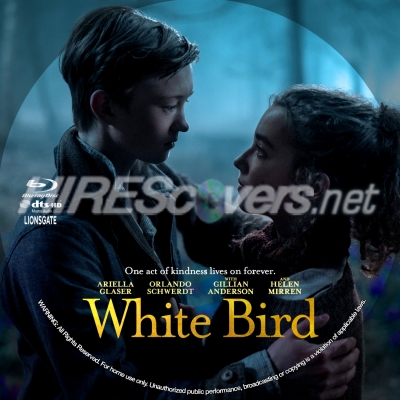 White Bird (2023) by BajeeZa