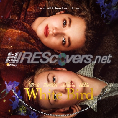 White Bird (2023) by BajeeZa